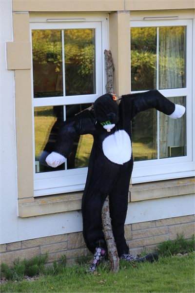Scarecrows 2015