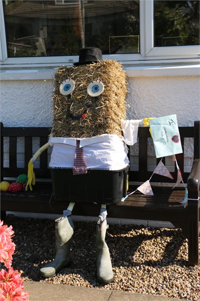 Scarecrows 2015