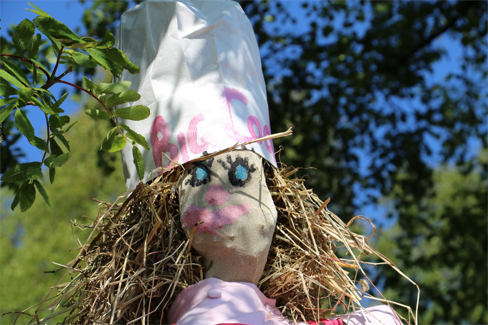 Scarecrows 2015
