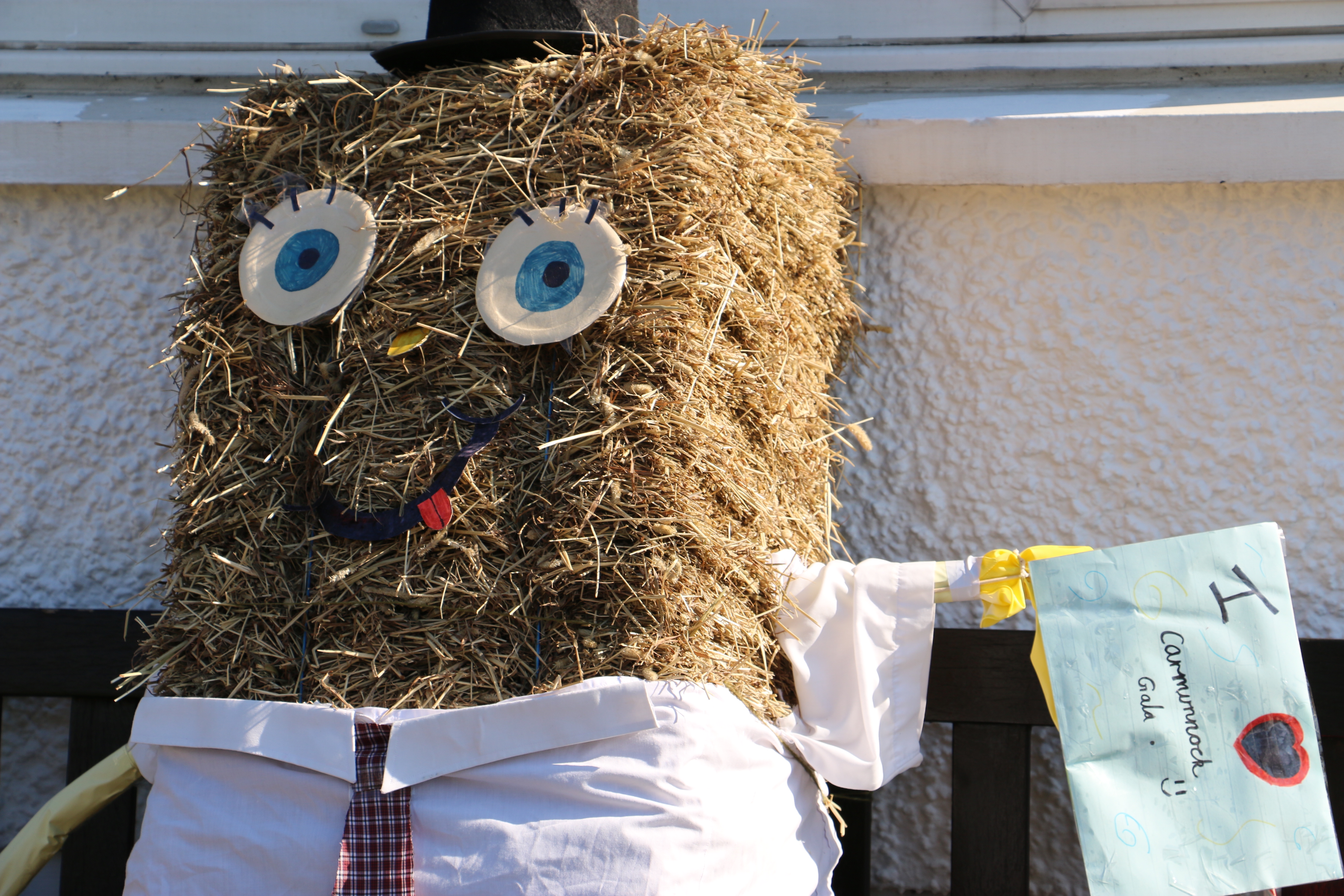 Scarecrows 2015
