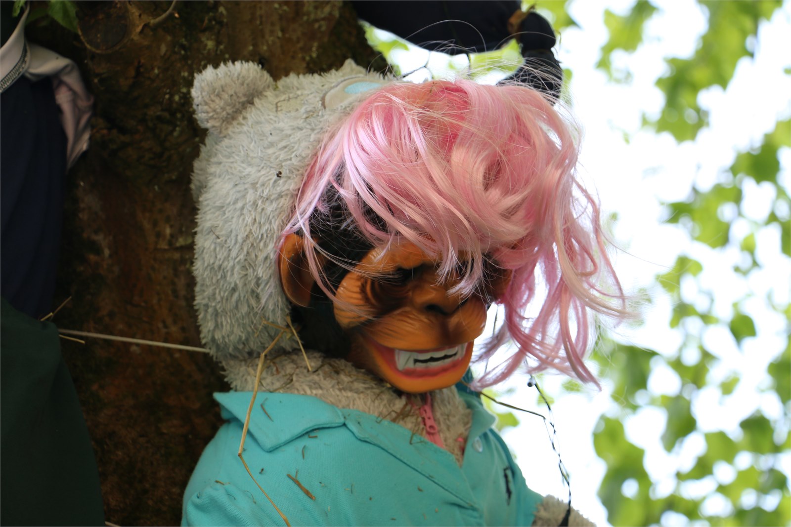 Scarecrows 2015