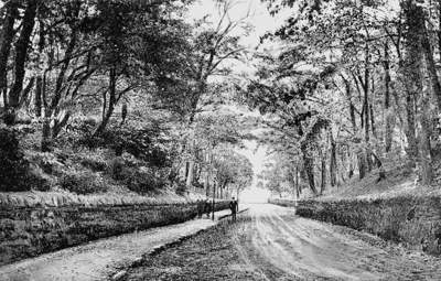 Cathkin Braes
